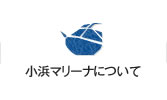 小浜マリーナについて