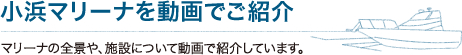 小浜マリーナを動画でご紹介