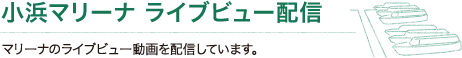 小浜マリーナ ライブビュー配信